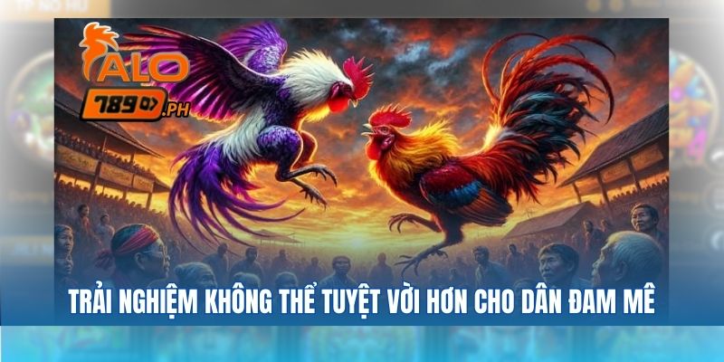 Giải đấu đá gà hot hiện nay trên việt nam mang tới các trải nghiệm không thể tuyệt vời hơn cho dân đam mê