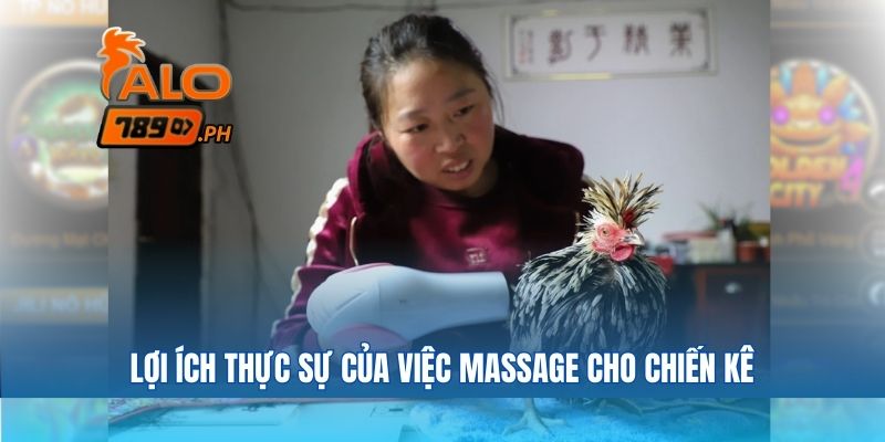 Lợi ích thực sự của việc massage cho chiến kê
