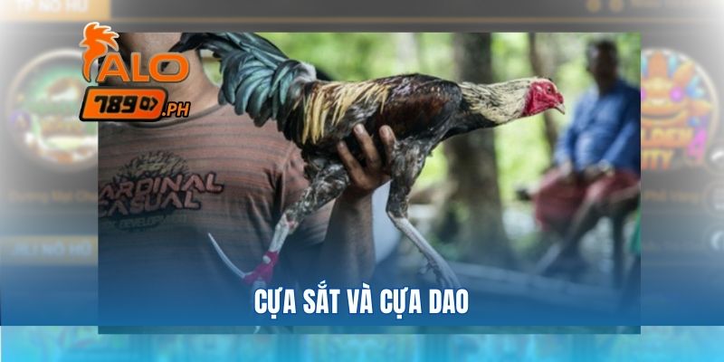 Cựa sắt và cựa dao