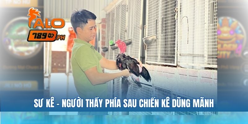 Sư kê – người thầy phía sau chiến kê dũng mãnh