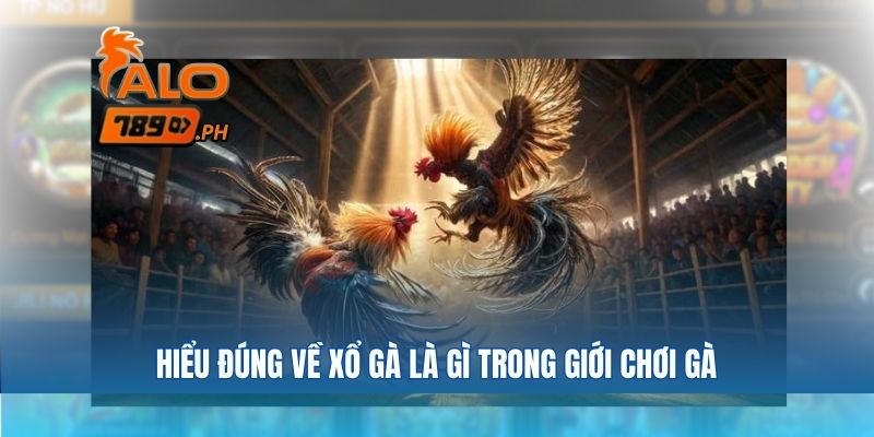 Hiểu đúng về xổ gà là gì trong giới chơi gà